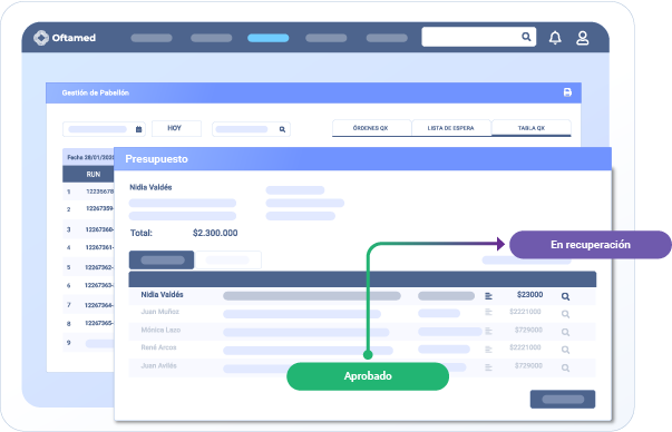 Gestión Quirúrgica